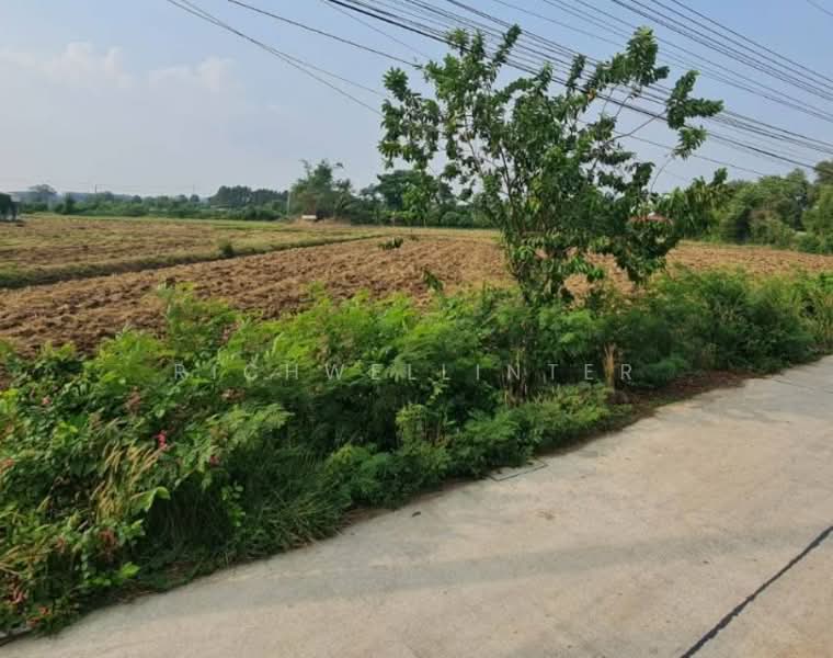ขายที่ดินหัวสำโรง 11 ไร่ ติดถนน2ด้านเลียบคลองซอยวัดอ่าวช้างไล่ ใกล้นิคมเกตเวย์7กม. อ.แปลงยาว, ฉะเชิงเทรา, หัวสำโรง, แปลงยาว, ฉะเชิงเทรา, 17,824 ตร.ม., ที่ดิน ขาย, โดย richwellinter, 500200587 - DDproperty.com