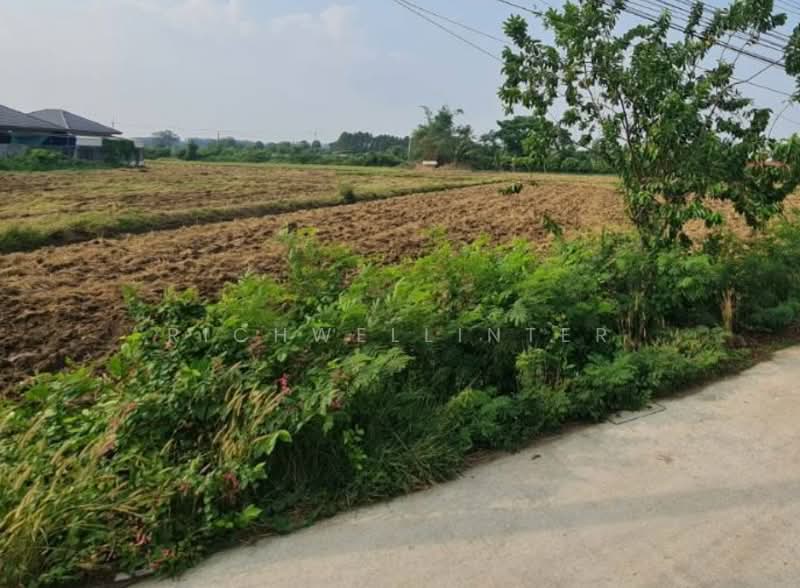 Land for sale in Hua Samrong, 11 rai,, Chachoengsao, Hua Samrong, Plaeng Yao, Chachoengsao, , 17,824 sqm, Land For Sale, by richwellinter, 500200587 - DDproperty.com