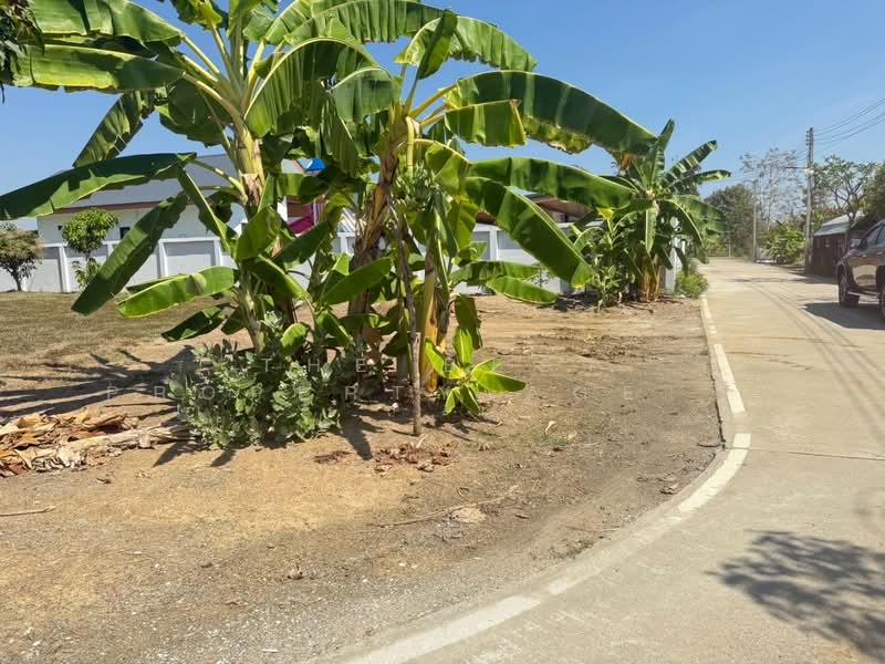 ที่ดินสันกำแพง เชียงใหม่, เชียงใหม่, สันกำแพง, สันกำแพง, เชียงใหม่, 1,520 ตร.ม., ที่ดิน ขาย, โดย The Best Property Agent บอย, 500200658 - DDproperty.com