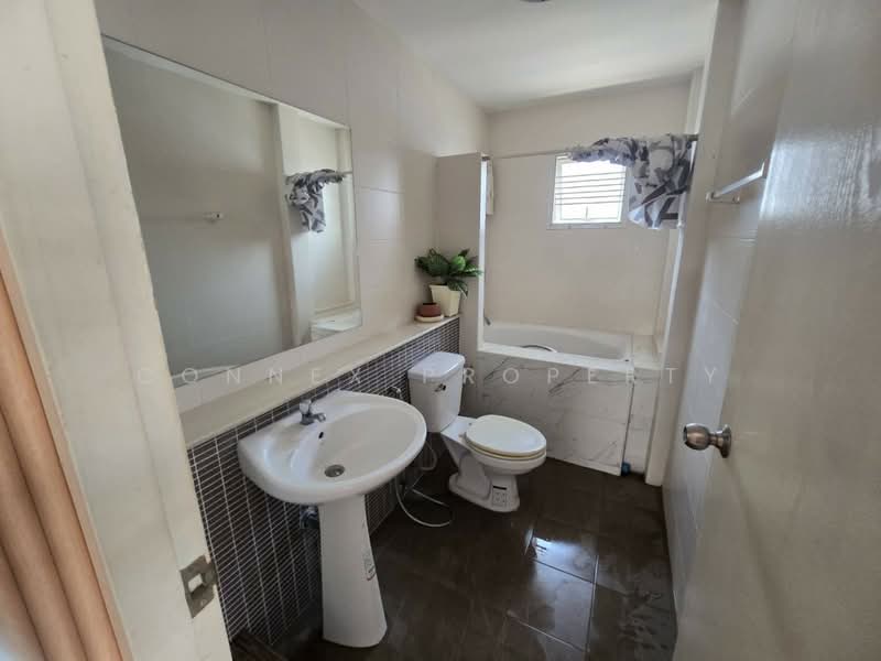 Chuanchuen Petchkasem 81, Bangkok, Petchkasem 81, Nong Kham, Nong Khaem, Bangkok, 4 Bedrooms, 250 sqm, Single Detached House For Sale, by Connex Property, 500200668 - DDproperty.com