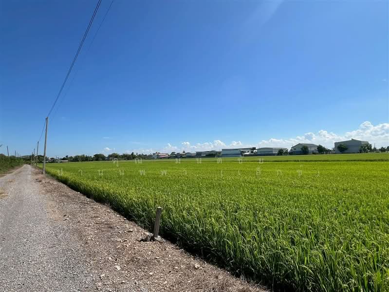 ที่ดินเปล่า 1 ไร่ 127.6 ตร.ว. ที่ดิน ใกล้ตลาดระแหง๑๐๐ปี ถนนบางสะแกใต้ ลาดหลุมแก้ว ปทุมธานี, Pathum Thani, Lat Lum Kaeo, Lat Lum Kaeo, Pathum Thani, , 2,108 sqm, Land For Sale, by คุณ มนต์ชัย ปานนพพา (เอ็กซ์), 500200677 - DDproperty.com