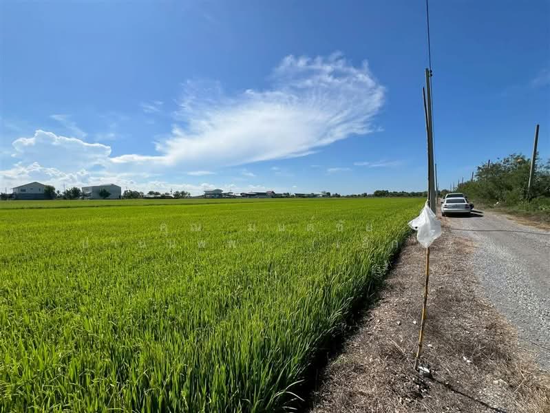 ที่ดินเปล่า 1 ไร่ 127.6 ตร.ว. ที่ดิน ใกล้ตลาดระแหง๑๐๐ปี ถนนบางสะแกใต้ ลาดหลุมแก้ว ปทุมธานี, Pathum Thani, Lat Lum Kaeo, Lat Lum Kaeo, Pathum Thani, , 2,108 sqm, Land For Sale, by คุณ มนต์ชัย ปานนพพา (เอ็กซ์), 500200677 - DDproperty.com