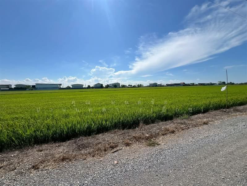 ที่ดินเปล่า 1 ไร่ 127.6 ตร.ว. ที่ดิน ใกล้ตลาดระแหง๑๐๐ปี ถนนบางสะแกใต้ ลาดหลุมแก้ว ปทุมธานี, Pathum Thani, Lat Lum Kaeo, Lat Lum Kaeo, Pathum Thani, , 2,108 sqm, Land For Sale, by คุณ มนต์ชัย ปานนพพา (เอ็กซ์), 500200677 - DDproperty.com