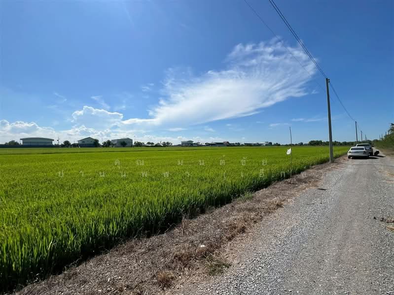 ที่ดินเปล่า 1 ไร่ 127.6 ตร.ว. ที่ดิน ใกล้ตลาดระแหง๑๐๐ปี ถนนบางสะแกใต้ ลาดหลุมแก้ว ปทุมธานี, Pathum Thani, Lat Lum Kaeo, Lat Lum Kaeo, Pathum Thani, , 2,108 sqm, Land For Sale, by คุณ มนต์ชัย ปานนพพา (เอ็กซ์), 500200677 - DDproperty.com