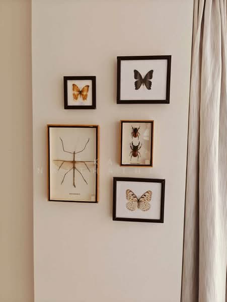 Socio Reference 61 : โซซิโอ เรฟเฟอเรนซ์ 61, กรุงเทพ, สุขุมวิท 61, คลองเตยเหนือ, วัฒนา, กรุงเทพ, 68 ตร.ม., คอนโด ขาย, โดย Kao Natthathida Paksee, 500200824 - DDproperty.com