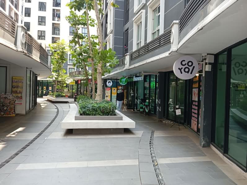 Plum Condo Chaengwattana Station Phase 3 : พลัม คอนโด แจ้งวัฒนะ สเตชั่น เฟส 3, กรุงเทพ, ถนนแจ้งวัฒนะ, ตลาดบางเขน, หลักสี่, กรุงเทพ, 23 ตร.ม., คอนโด ขาย, โดย Sansern Na Patthalung, 500200866 - DDproperty.com