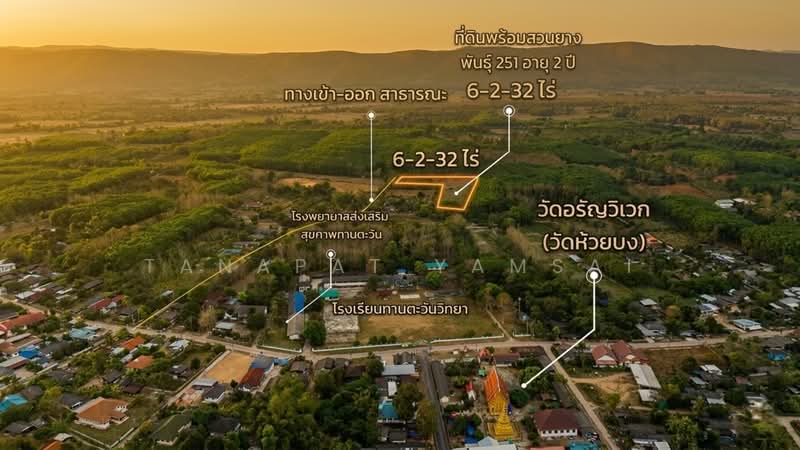 ขาย - ทานตะวัน, เชียงราย