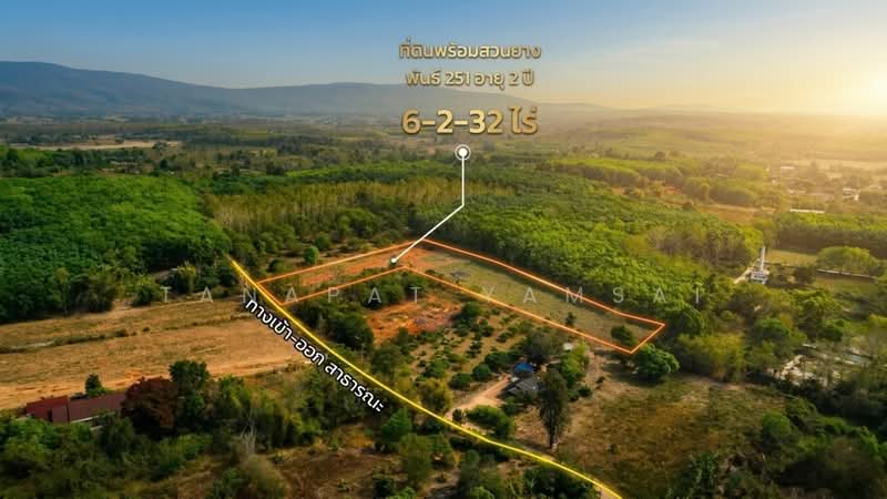 ขาย - ทานตะวัน, เชียงราย