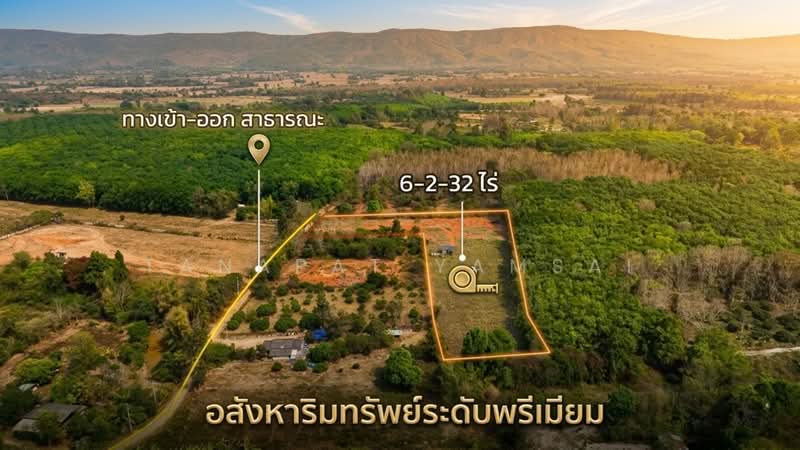 ขาย - ทานตะวัน, เชียงราย