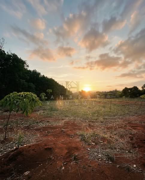 Tantawan Phan, Chiang Rai, Tan Tawan, Phan, Chiang Rai, , 10,528 sqm, Land For Sale, by Tanapat Yamsai, 500200895 - DDproperty.com