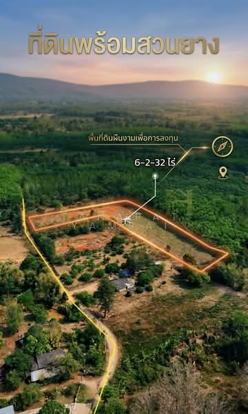 ขาย - ทานตะวัน, เชียงราย