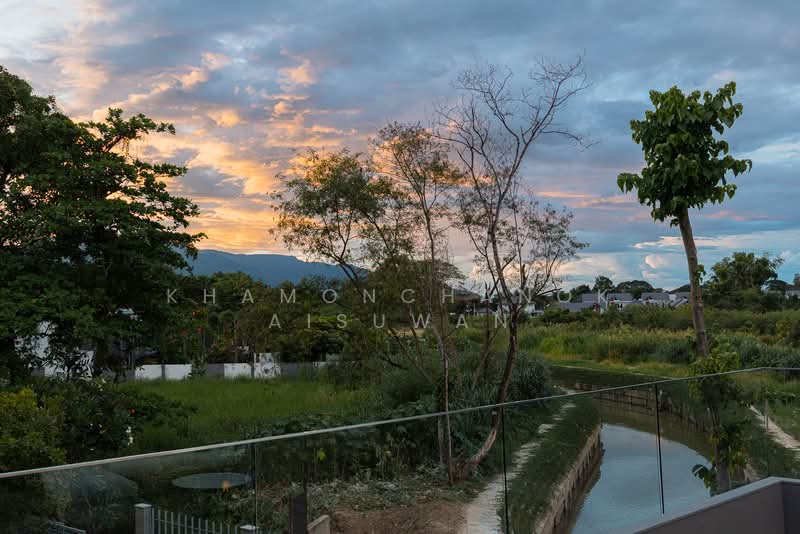 Baan Wang Tan : บ้าน วัง ตาล, เชียงใหม่, แม่เหียะ, เมืองเชียงใหม่, เชียงใหม่, 946 ตร.ม., วิลล่า ขาย, โดย Khamonchanok Aisuwan, 500200942 - DDproperty.com