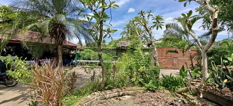Thai and Western Style House with Tropical Garden, เชียงใหม่, สันผีเสื้อ, เมืองเชียงใหม่, เชียงใหม่, 600 ตร.ม., วิลล่า ขาย, โดย Khamonchanok Aisuwan, 500200946 - DDproperty.com
