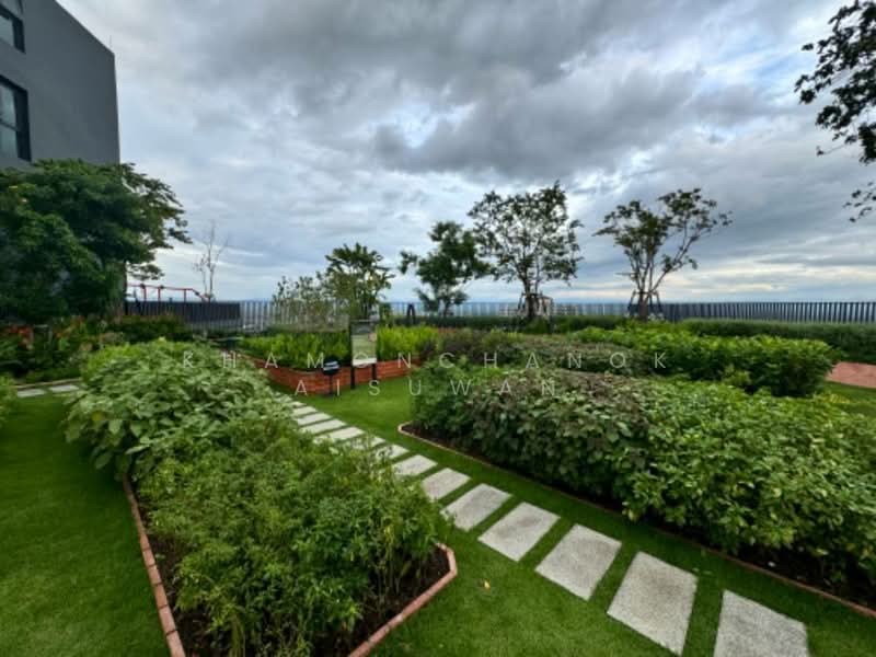 The Base Height-Chiang Mai : เดอะ เบส ไฮท์-เชียงใหม่, เชียงใหม่, วัดเกต, เมืองเชียงใหม่, เชียงใหม่, 47 ตร.ม., คอนโด ขาย, โดย Khamonchanok Aisuwan, 500201046 - DDproperty.com