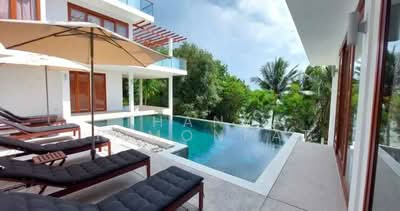 ขาย - ขายวิลล่า 4 ห้องนอน ในทำเล เกาะพะงัน, สุราษฎร์ธานี