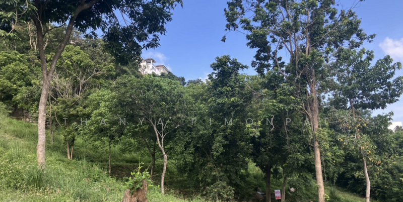 1.3 Rai Land Plot for Sale with Peaceful Seaview, Surat Thani, Bo Put, Ko Samui, Surat Thani, , 859,200 sqm, Land For Sale, by Thanya Pimonpat, 500201144 - DDproperty.com
