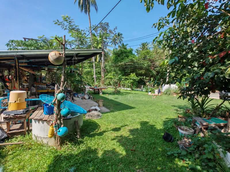 Beach-Access Modern Home for Sale – Bangmakham Beach, Surat Thani, Ang Thong, Ko Samui, Surat Thani, 4 Bedrooms, 160 sqm, Single Detached House For Sale, by Thanya Pimonpat, 500201182 - DDproperty.com