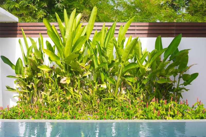 Luxury 3 Bedrooms Tropical Villa Mae Nam Soi 2, Surat Thani, Mae Nam, Ko Samui, Surat Thani, 3 Bedrooms, 250 sqm, Villa For Sale, by Thanya Pimonpat, 500201212 - DDproperty.com