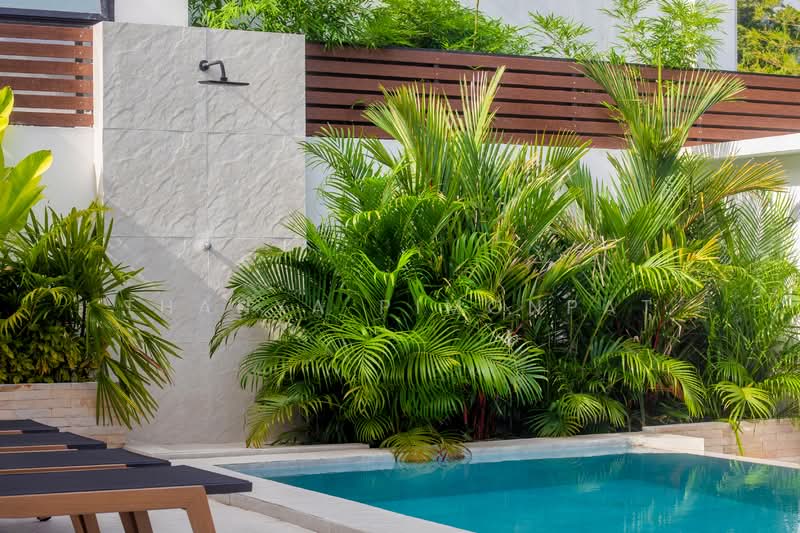 Luxury 3 Bedrooms Tropical Villa Mae Nam Soi 2, Surat Thani, Mae Nam, Ko Samui, Surat Thani, 3 Bedrooms, 250 sqm, Villa For Sale, by Thanya Pimonpat, 500201212 - DDproperty.com