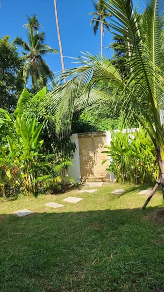 TROPICAL SANCTUARY in Lipa Noi, สุราษฎร์ธานี, ลิปะน้อย, เกาะสมุย, สุราษฎร์ธานี, 130 ตร.ม., วิลล่า ขาย, โดย Thanya Pimonpat, 500201215 - DDproperty.com