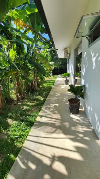 TROPICAL SANCTUARY in Lipa Noi, Surat Thani, Lipa Noi, Ko Samui, Surat Thani, 2 Bedrooms, 130 sqm, Villa For Sale, by Thanya Pimonpat, 500201215 - DDproperty.com