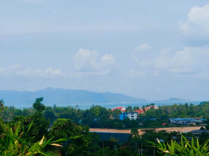 Spacious Sea View Villa with Wellness Facilities, Surat Thani, Mae Nam, Ko Samui, Surat Thani, 4 Bedrooms, 367 sqm, Villa For Sale, by Thanya Pimonpat, 500201227 - DDproperty.com