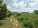 Beautiful Land with Mountain Views in Pranburi, ประจวบคีรีขันธ์