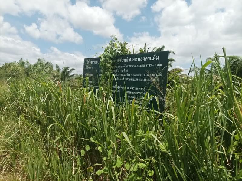 Beautiful Land with Mountain Views in Pranburi, Prachuap Khiri Khan, Nong Ta Taem, Pran Buri, Prachuap Khiri Khan, , 3,188 sqm, Land For Sale, by Parkkapol (Smile) Luecha, 500201378 - DDproperty.com