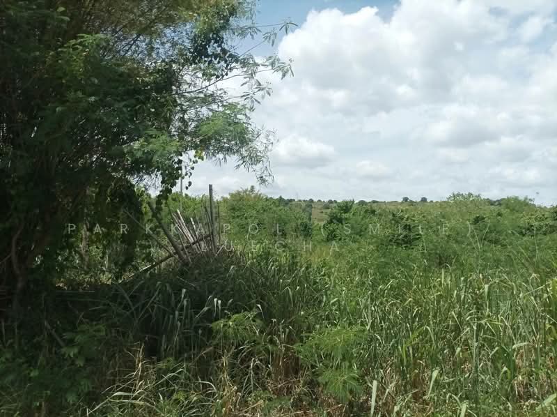 Beautiful Land with Mountain Views in Pranburi, Prachuap Khiri Khan, Nong Ta Taem, Pran Buri, Prachuap Khiri Khan, , 3,188 sqm, Land For Sale, by Parkkapol (Smile) Luecha, 500201378 - DDproperty.com