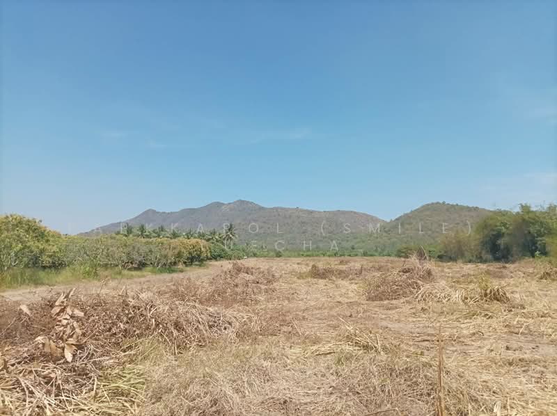 Beautiful Land with Mountain Views in Pranburi, Prachuap Khiri Khan, Nong Ta Taem, Pran Buri, Prachuap Khiri Khan, , 3,188 sqm, Land For Sale, by Parkkapol (Smile) Luecha, 500201378 - DDproperty.com