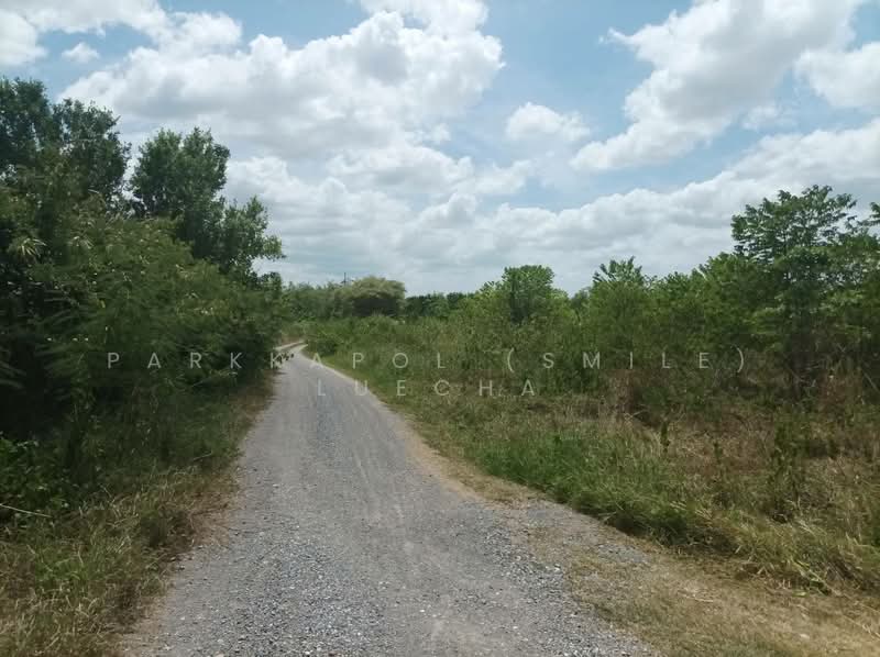 Beautiful Land with Mountain Views in Pranburi, Prachuap Khiri Khan, Nong Ta Taem, Pran Buri, Prachuap Khiri Khan, , 3,188 sqm, Land For Sale, by Parkkapol (Smile) Luecha, 500201378 - DDproperty.com