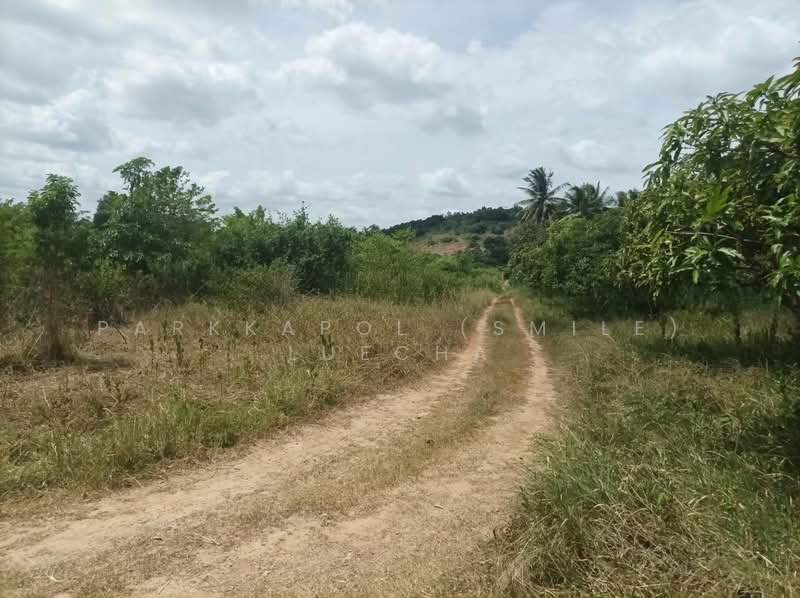 Beautiful Land with Mountain Views in Pranburi, Prachuap Khiri Khan, Nong Ta Taem, Pran Buri, Prachuap Khiri Khan, , 3,188 sqm, Land For Sale, by Parkkapol (Smile) Luecha, 500201378 - DDproperty.com
