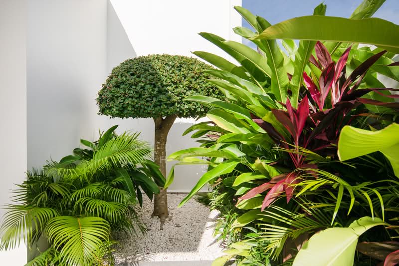 ขาย - Thala Villas : ธาลา วิลล่า, ภูเก็ต