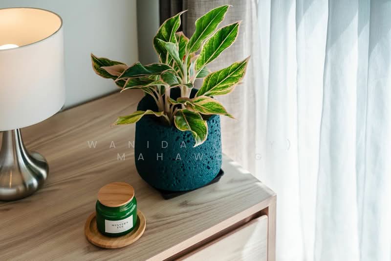 Diamond Condominium Bangtao, Phuket, Soi Cherngtalay 14, Choeng Thale, Thalang, Phuket, 2 Bedrooms, 66 sqm, Condo For Rent, by Wanida (May) Mahawong, 500201783 - DDproperty.com