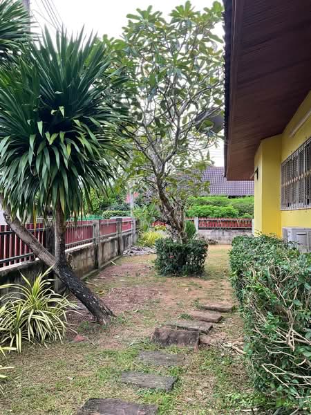 For Rent - 2 Bedroom House for rent in Rawai, Phuket