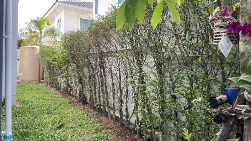 Supalai Palm Spring Banpon Phuket, Phuket, Soi Ban Pon Phuket, Sri Sunthon, Thalang, Phuket, 3 Bedrooms, 130 sqm, Single Detached House For Rent, by Wanida (May) Mahawong, 500202055 - DDproperty.com