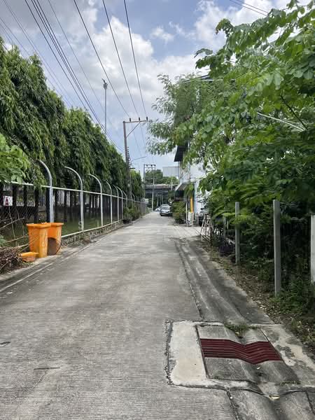 บ้านเดี่ยวให้เช่าย่านพัฒนาการ 5, กรุงเทพ, สวนหลวง, สวนหลวง, กรุงเทพ, 100 ตร.ม., บ้านเดี่ยว ให้เช่า, โดย Sittichai (Ice) Tulyanon, 500202158 - DDproperty.com