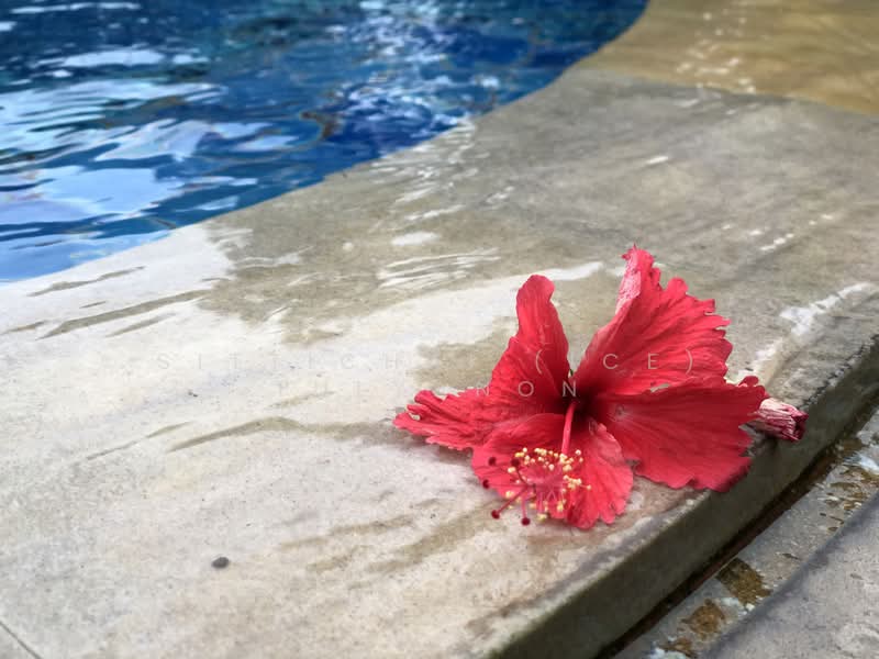 For Rent - Lakewood Village, Samut Prakan