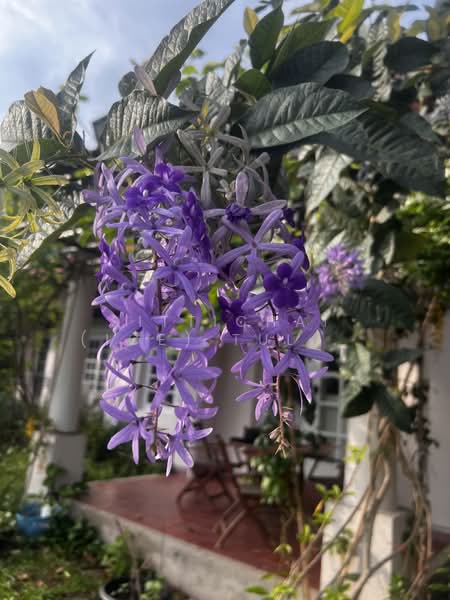 For Rent - Lakewood Village, Samut Prakan