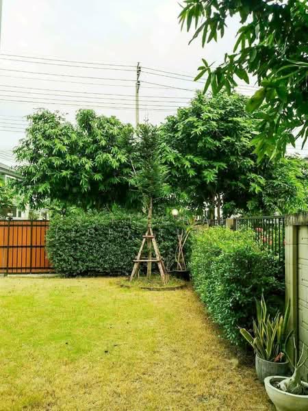 Iconature Ramintra : อิคอนเนเจอร์ รามอินทรา, กรุงเทพ, ถนนพระยาสุเรนทร์ (รามอินทรา 109), บางชัน, คลองสามวา, กรุงเทพ, 180 ตร.ม., บ้านเดี่ยว ให้เช่า, โดย Sittichai (Ice) Tulyanon, 500202357 - DDproperty.com