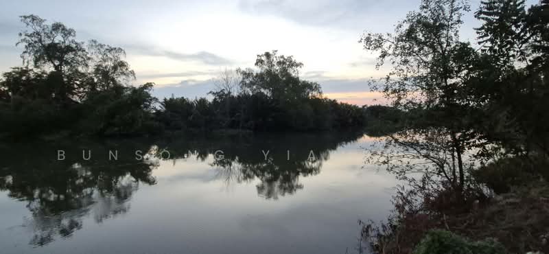 ขายที่ดิน 154.9 ตร.ว. ในเมืองสุราษฎร์ธานี เหมาะสร้างธุรกิจริมน้ำ บ้านวิวติดคลองมะขามเตี้ย, สุราษฎร์ธานี, มะขามเตี้ย, เมืองสุราษฎร์ธานี, สุราษฎร์ธานี, 620 ตร.ม., ที่ดิน ขาย, โดย Bunsong Yiambunya, 500202648 - DDproperty.com