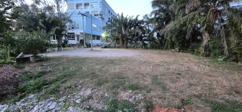 ขายที่ดิน 154.9 ตร.ว. ในเมืองสุราษฎร์ธานี เหมาะสร้างธุรกิจริมน้ำ บ้านวิวติดคลองมะขามเตี้ย, Surat Thani, Makham Tia, Muang Surat Thani, Surat Thani, , 620 sqm, Land For Sale, by Bunsong Yiambunya, 500202648 - DDproperty.com