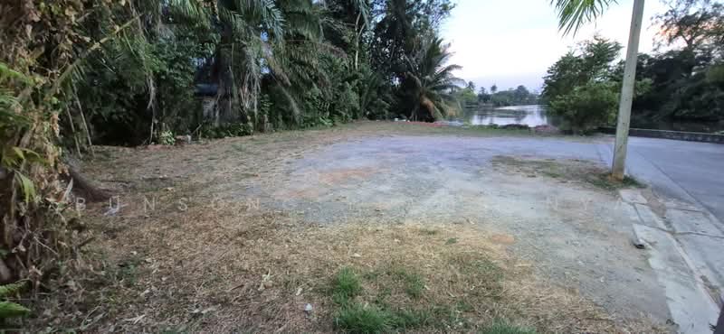 ขายที่ดิน 154.9 ตร.ว. ในเมืองสุราษฎร์ธานี เหมาะสร้างธุรกิจริมน้ำ บ้านวิวติดคลองมะขามเตี้ย, Surat Thani, Makham Tia, Muang Surat Thani, Surat Thani, , 620 sqm, Land For Sale, by Bunsong Yiambunya, 500202648 - DDproperty.com