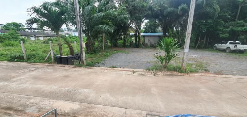 ขายที่ดิน 154.9 ตร.ว. ในเมืองสุราษฎร์ธานี เหมาะสร้างธุรกิจริมน้ำ บ้านวิวติดคลองมะขามเตี้ย, Surat Thani, Makham Tia, Muang Surat Thani, Surat Thani, , 620 sqm, Land For Sale, by Bunsong Yiambunya, 500202648 - DDproperty.com