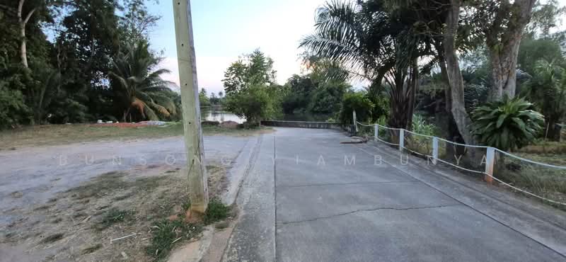 ขายที่ดิน 154.9 ตร.ว. ในเมืองสุราษฎร์ธานี เหมาะสร้างธุรกิจริมน้ำ บ้านวิวติดคลองมะขามเตี้ย, Surat Thani, Makham Tia, Muang Surat Thani, Surat Thani, , 620 sqm, Land For Sale, by Bunsong Yiambunya, 500202648 - DDproperty.com