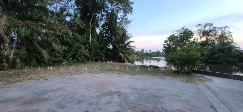 ขายที่ดิน 154.9 ตร.ว. ในเมืองสุราษฎร์ธานี เหมาะสร้างธุรกิจริมน้ำ บ้านวิวติดคลองมะขามเตี้ย, สุราษฎร์ธานี, มะขามเตี้ย, เมืองสุราษฎร์ธานี, สุราษฎร์ธานี, 620 ตร.ม., ที่ดิน ขาย, โดย Bunsong Yiambunya, 500202648 - DDproperty.com