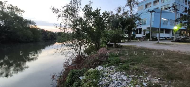 ขายที่ดิน 154.9 ตร.ว. ในเมืองสุราษฎร์ธานี เหมาะสร้างธุรกิจริมน้ำ บ้านวิวติดคลองมะขามเตี้ย, Surat Thani, Makham Tia, Muang Surat Thani, Surat Thani, , 620 sqm, Land For Sale, by Bunsong Yiambunya, 500202648 - DDproperty.com