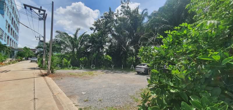 ขายที่ดิน 154.9 ตร.ว. ในเมืองสุราษฎร์ธานี เหมาะสร้างธุรกิจริมน้ำ บ้านวิวติดคลองมะขามเตี้ย, Surat Thani, Makham Tia, Muang Surat Thani, Surat Thani, , 620 sqm, Land For Sale, by Bunsong Yiambunya, 500202648 - DDproperty.com