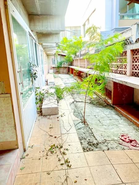 ไม่พบโครงการ, Bangkok, ลาดพร้าววังหิน 78-82, Lat Phrao, Lat Phrao, Bangkok, 1 Bedroom, 260 sqm, Single Detached House For Rent, by ณัฐพงศ์ สุนทรอรุณ, 500202668 - DDproperty.com