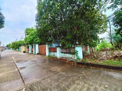 ขาย - หมู่บ้านโรสการ์เด้นท์ซิตี้ ราชบุรี (Rose Garden City) ราชบุรี, ราชบุรี